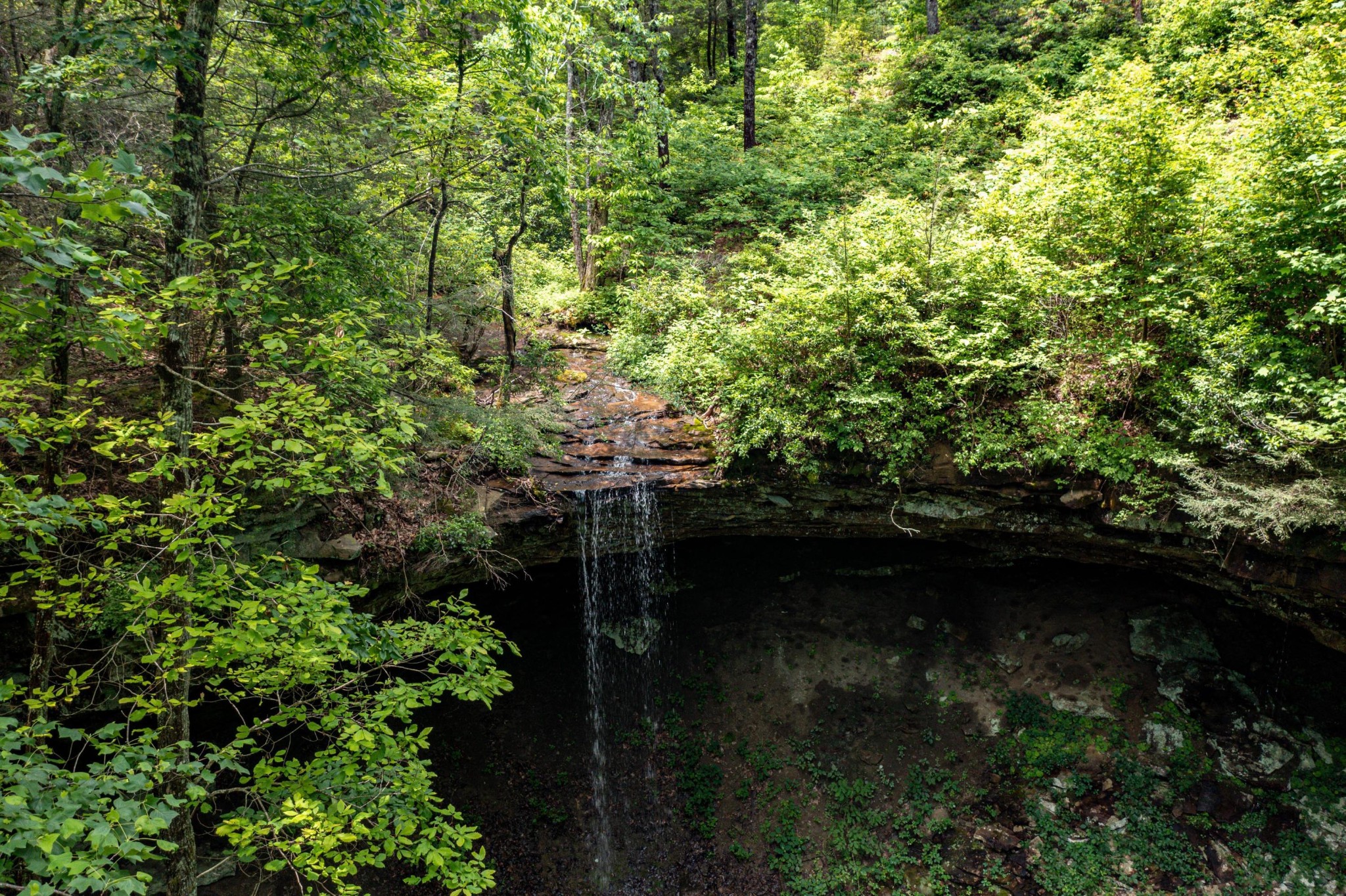 196 Big Bluff View
