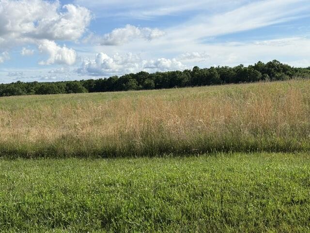 196 Big Bluff View