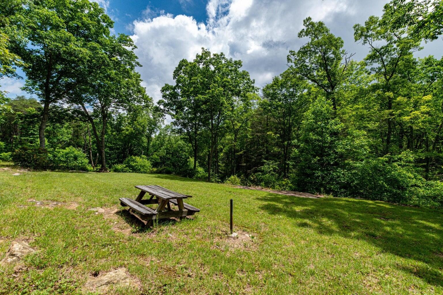 196 Big Bluff View