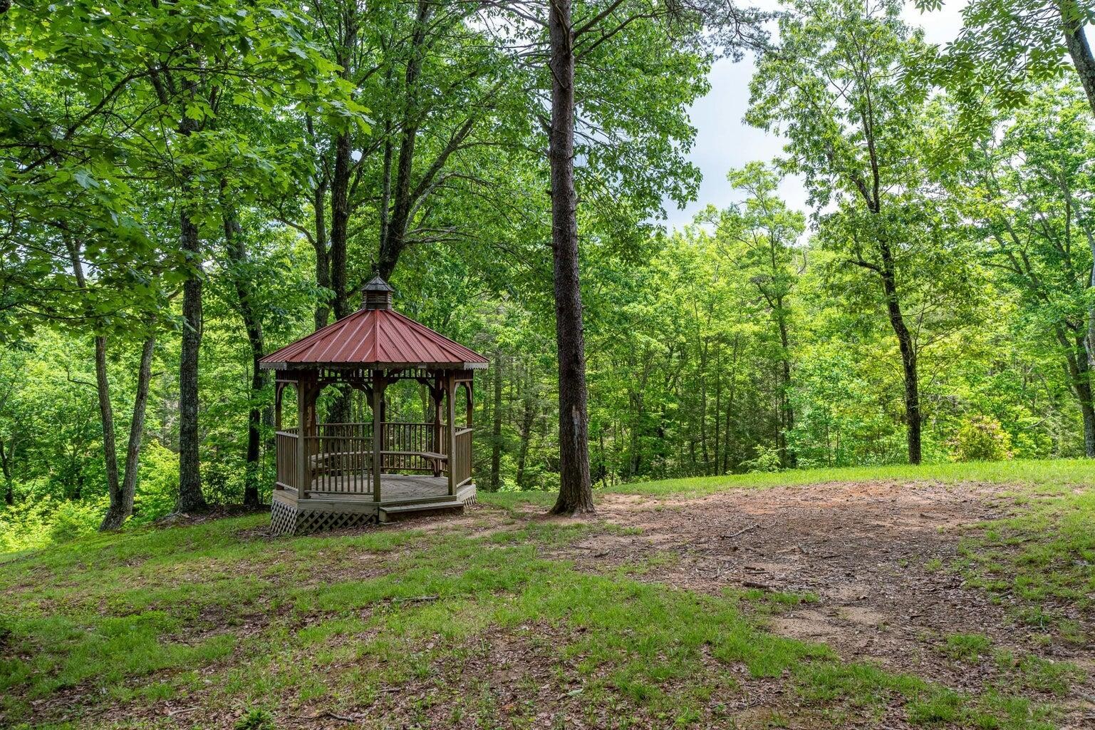 196 Big Bluff View