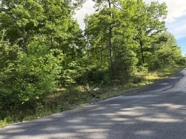 196 Big Bluff View