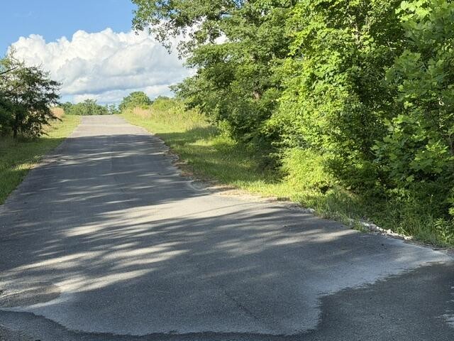196 Big Bluff View