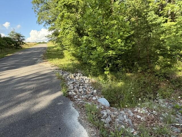 196 Big Bluff View