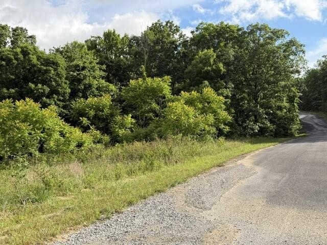 196 Big Bluff View