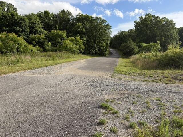 196 Big Bluff View