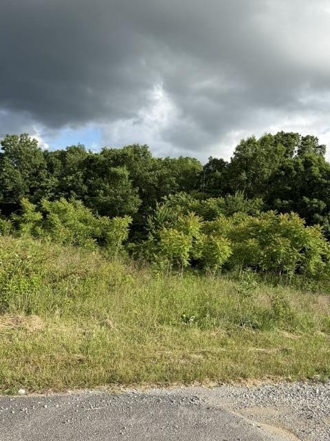 196 Big Bluff View