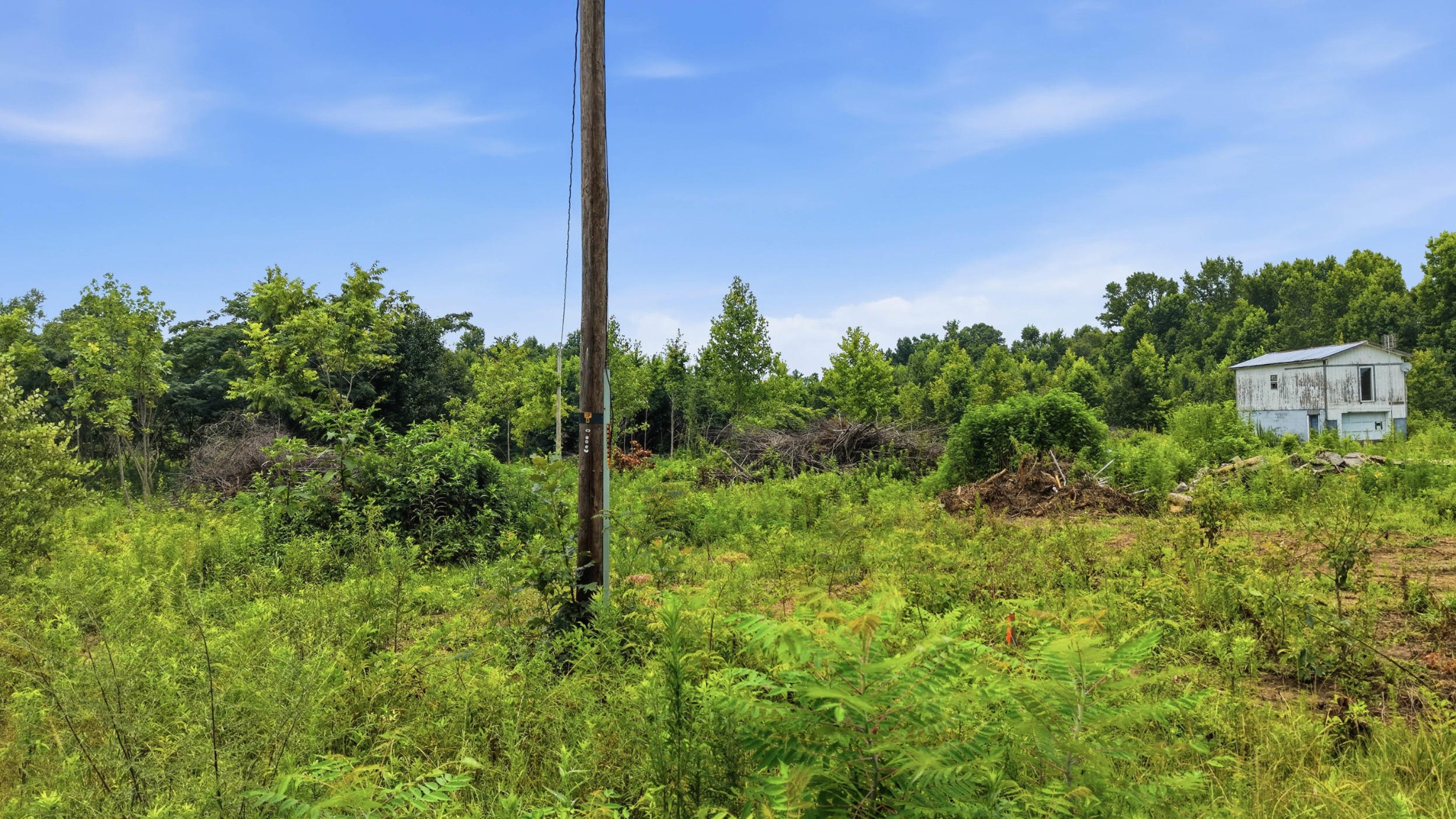 301 County Road 315