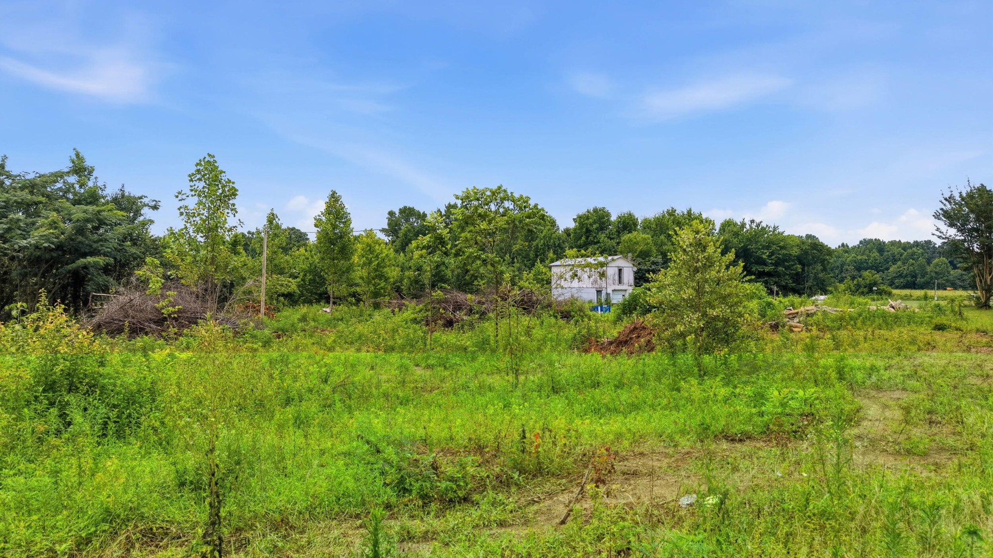 319 County Road 315