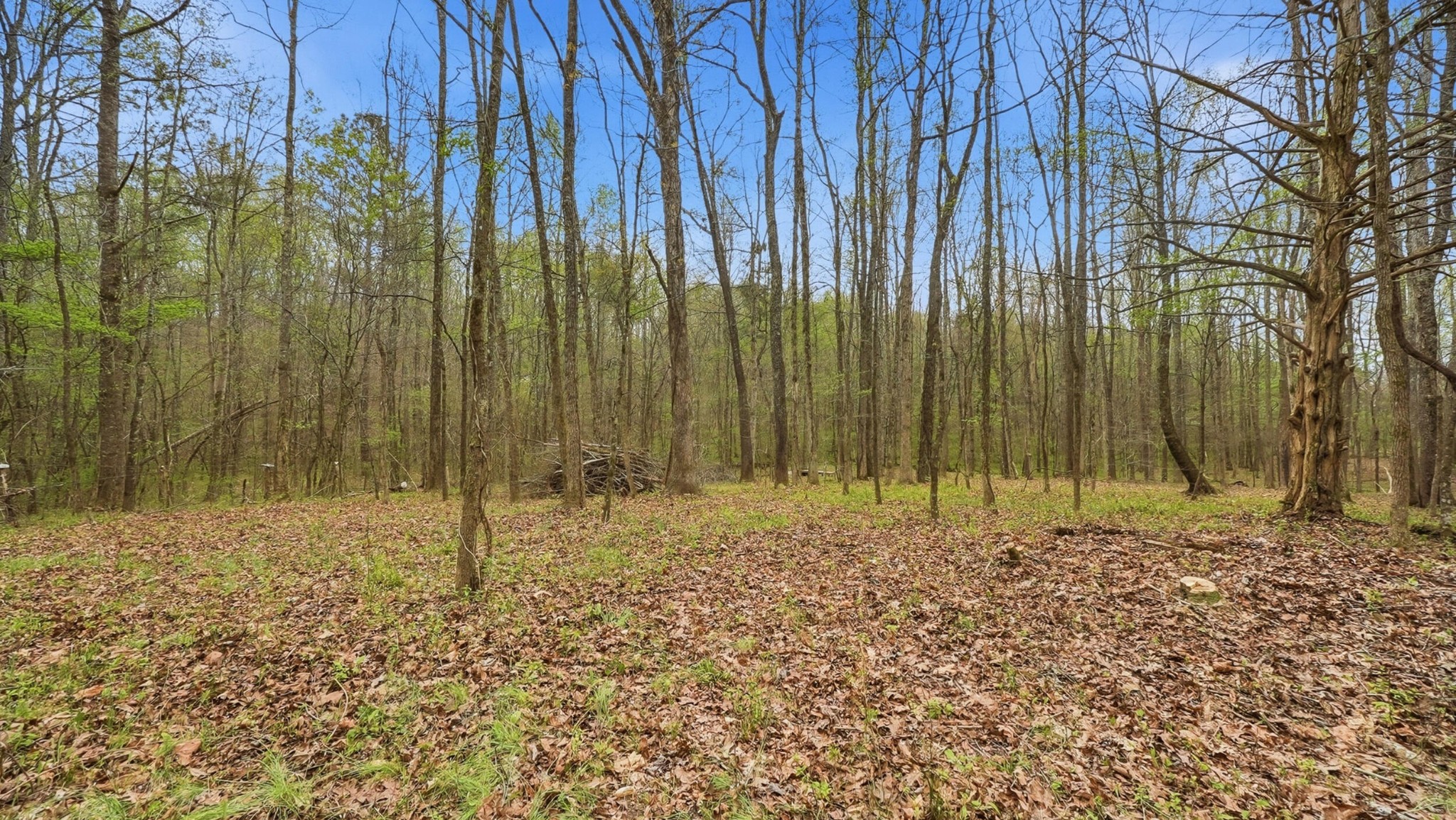 174 Turner Lane, NE