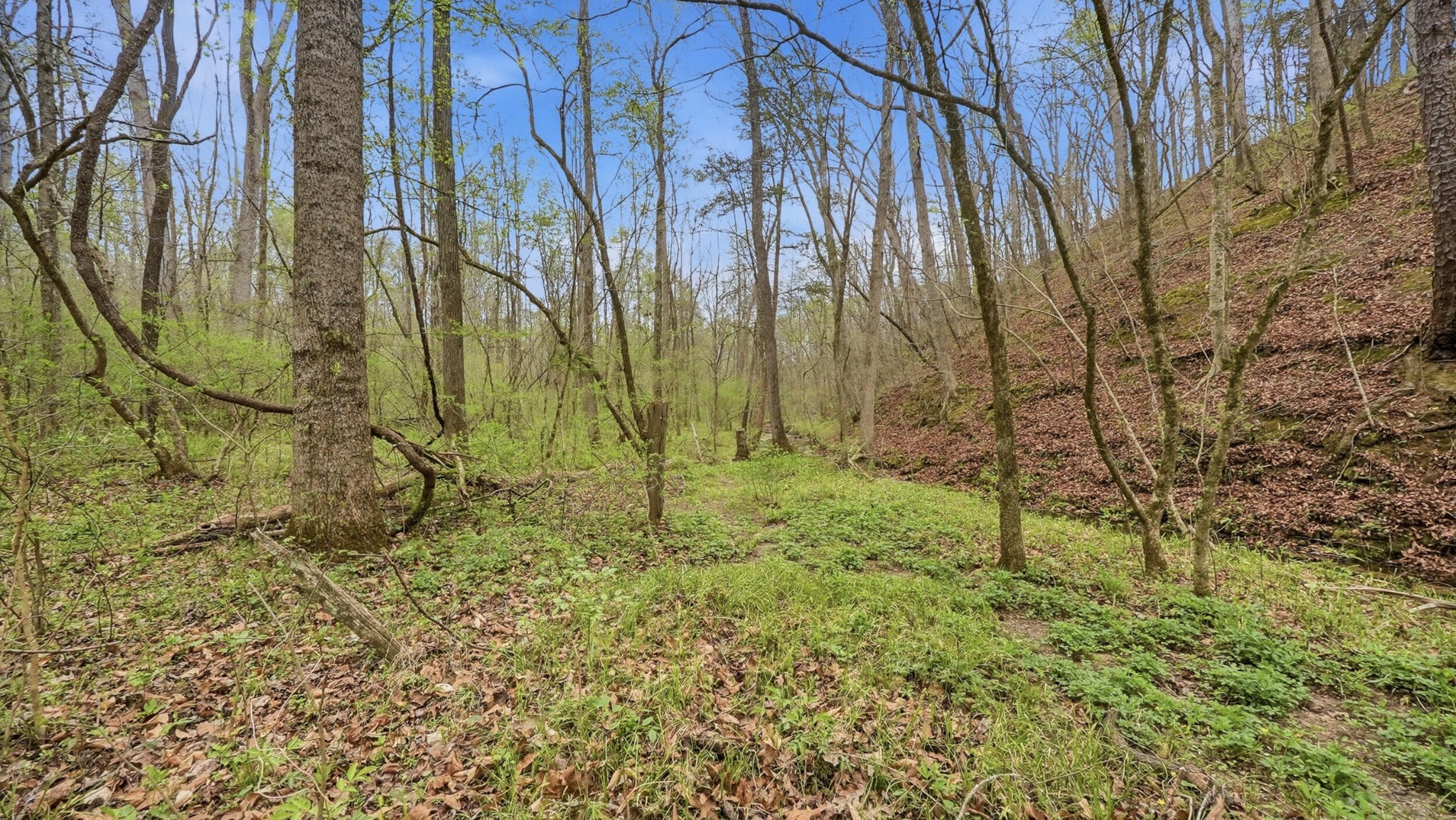 174 Turner Lane, NE