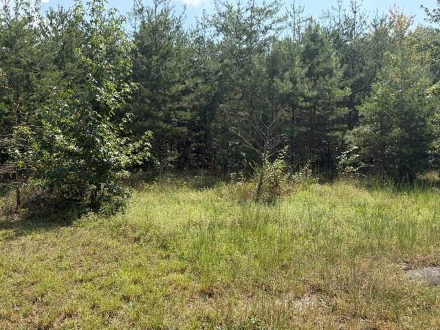 152 County Road 971