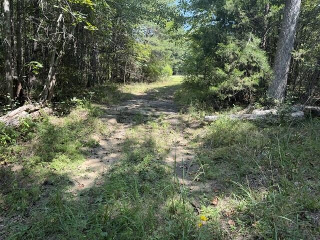 152 County Road 971