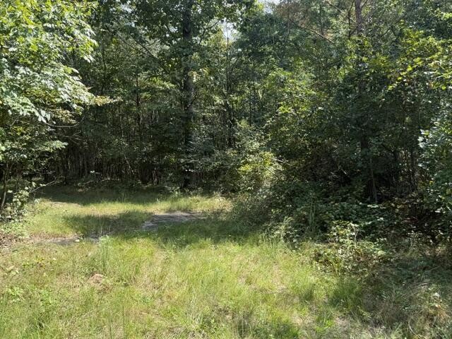 152 County Road 971