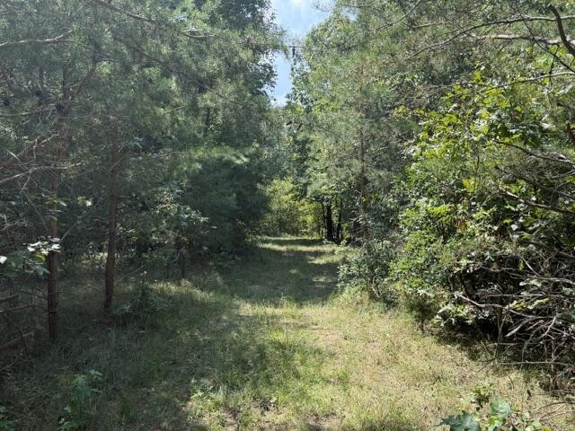 152 County Road 971