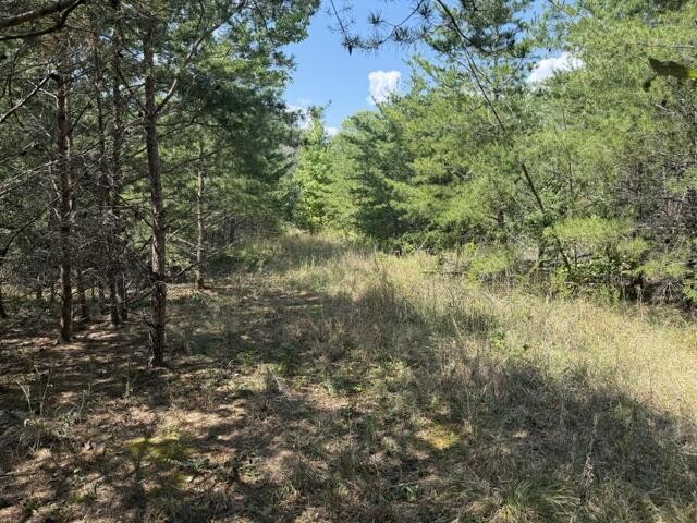 152 County Road 971