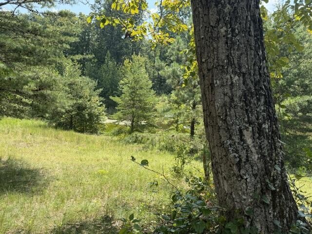 152 County Road 971
