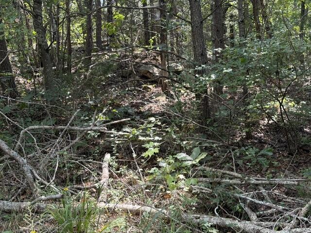 152 County Road 971