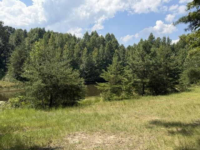 152 County Road 971