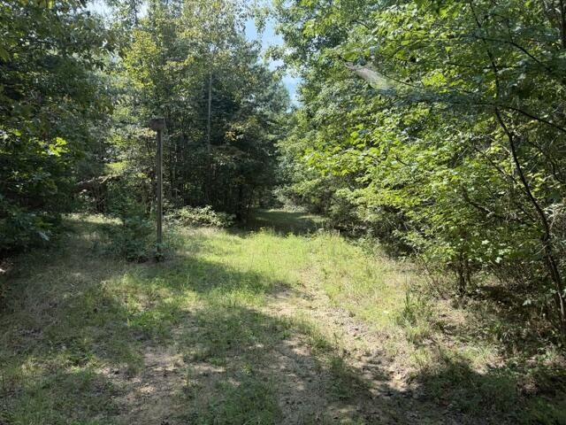152 County Road 971
