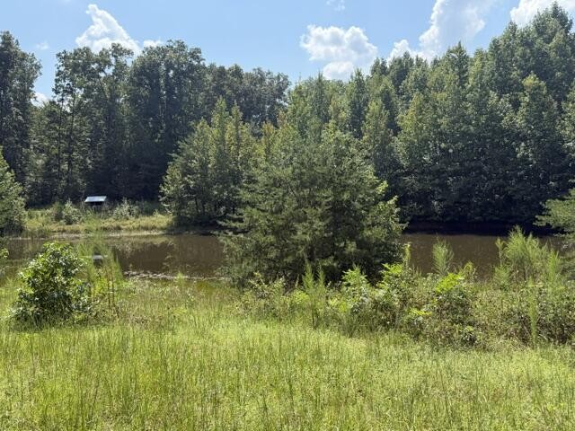 152 County Road 971