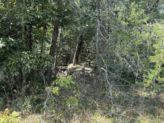 152 County Road 971