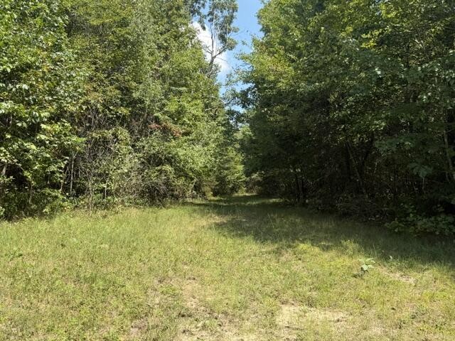 152 County Road 971