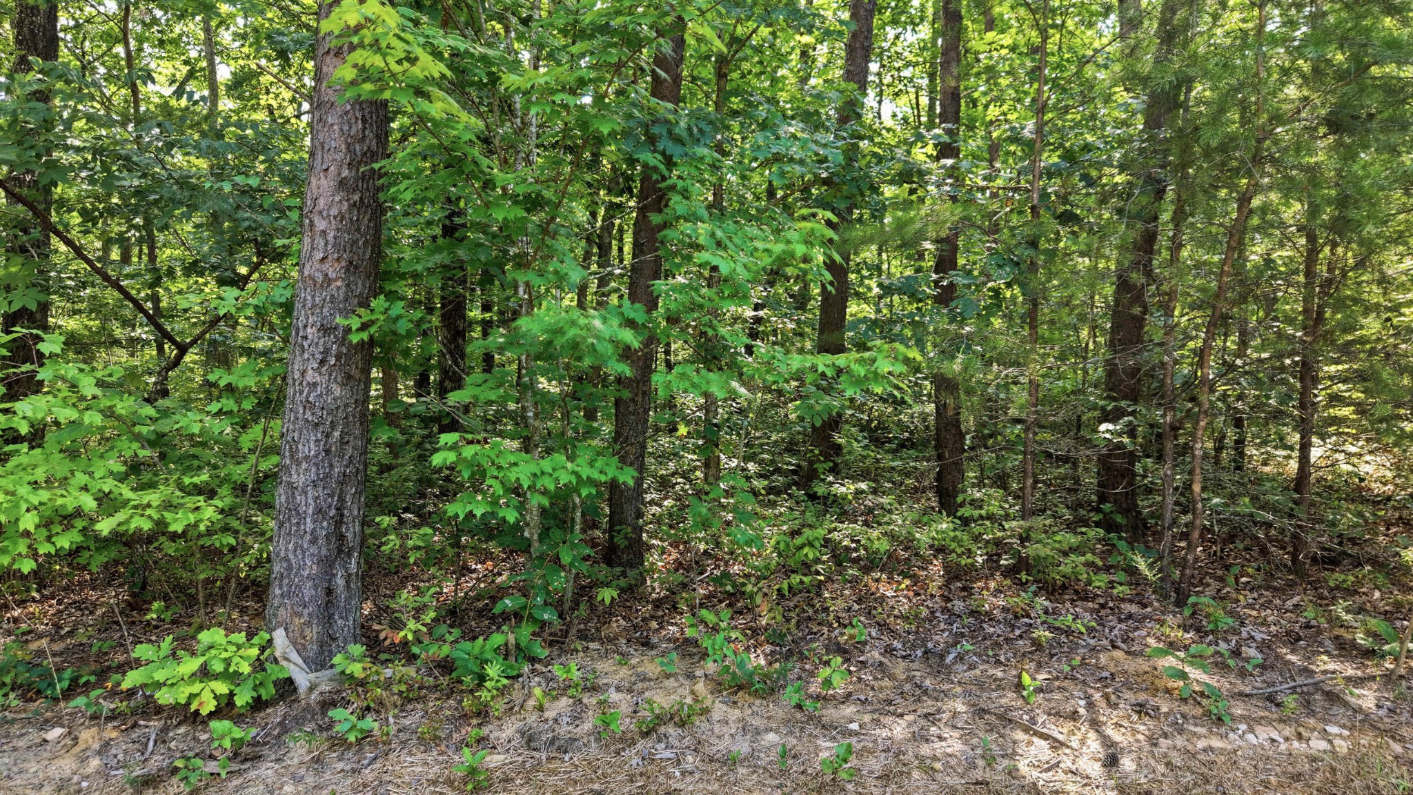 0 Timber View Road