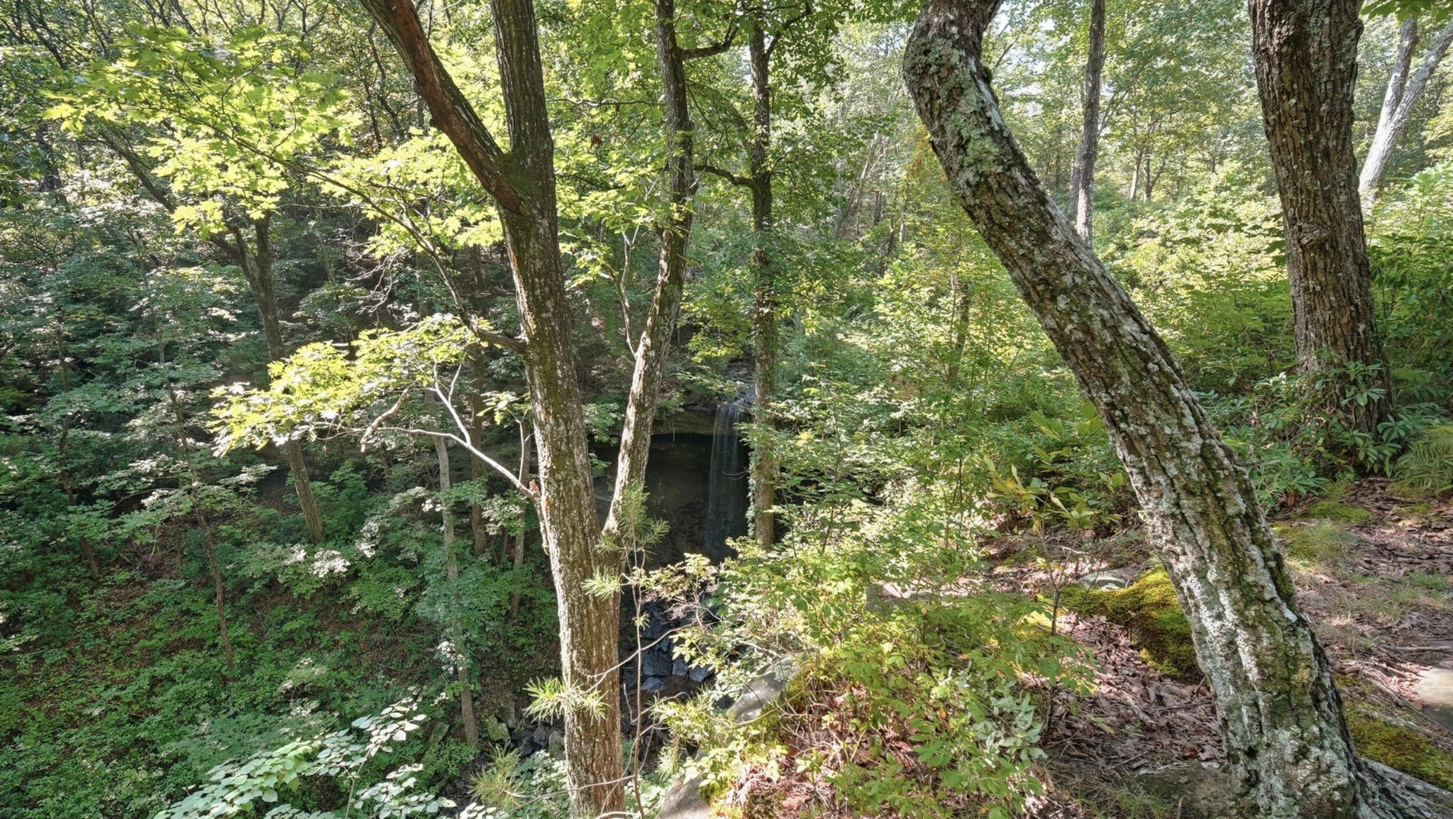 201 Timber View Road
