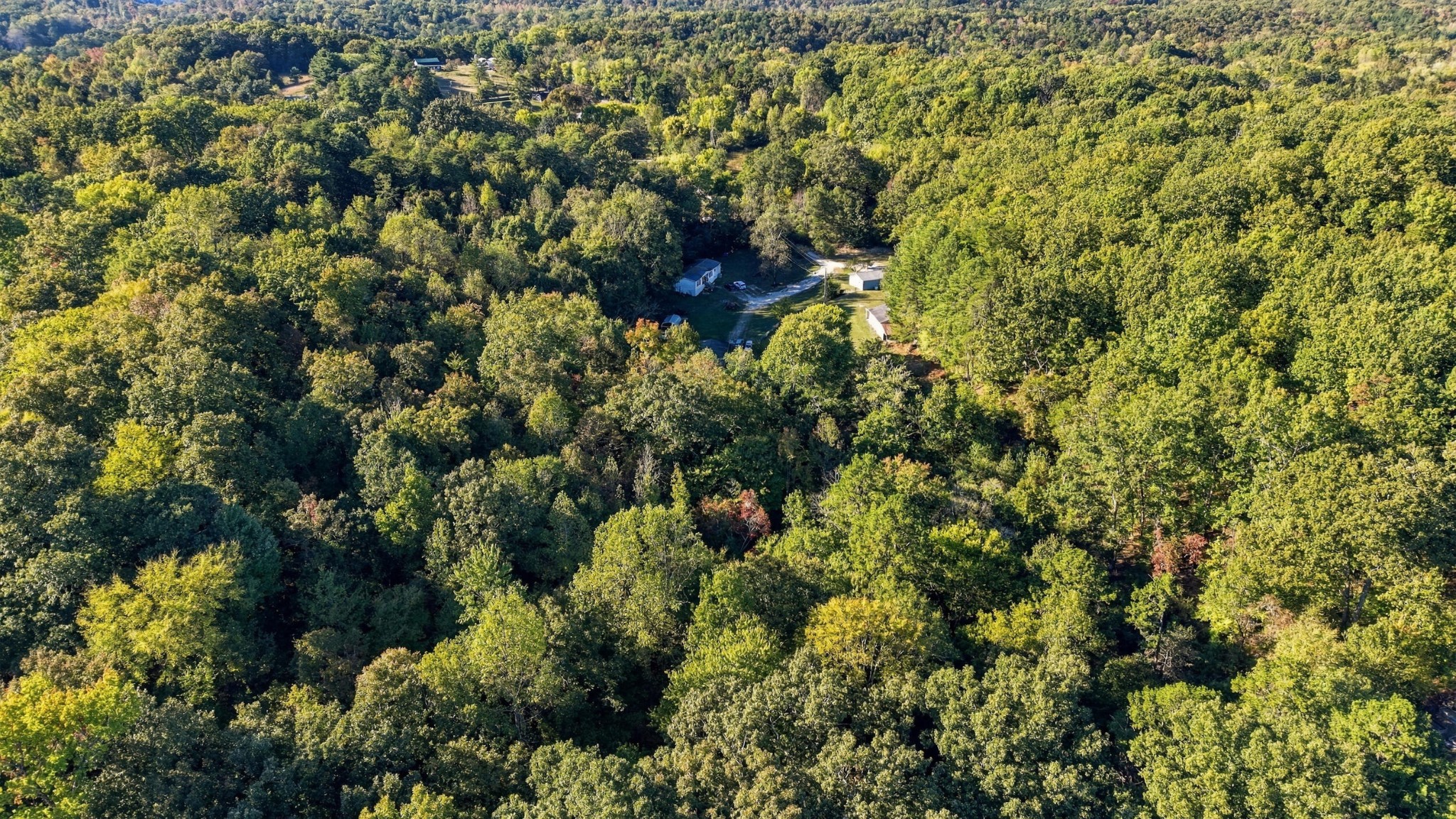 7364 Mccormack Drive