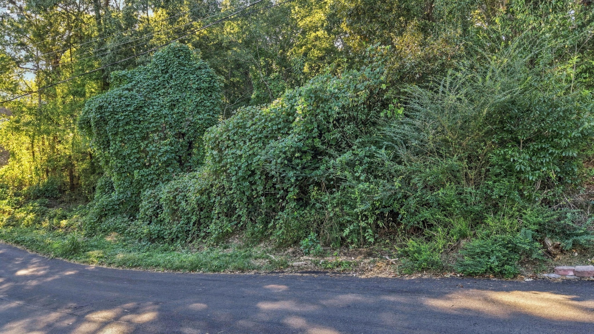 7364 Mccormack Drive
