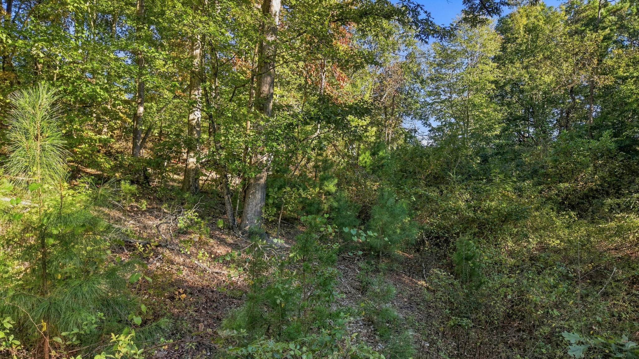 7364 Mccormack Drive