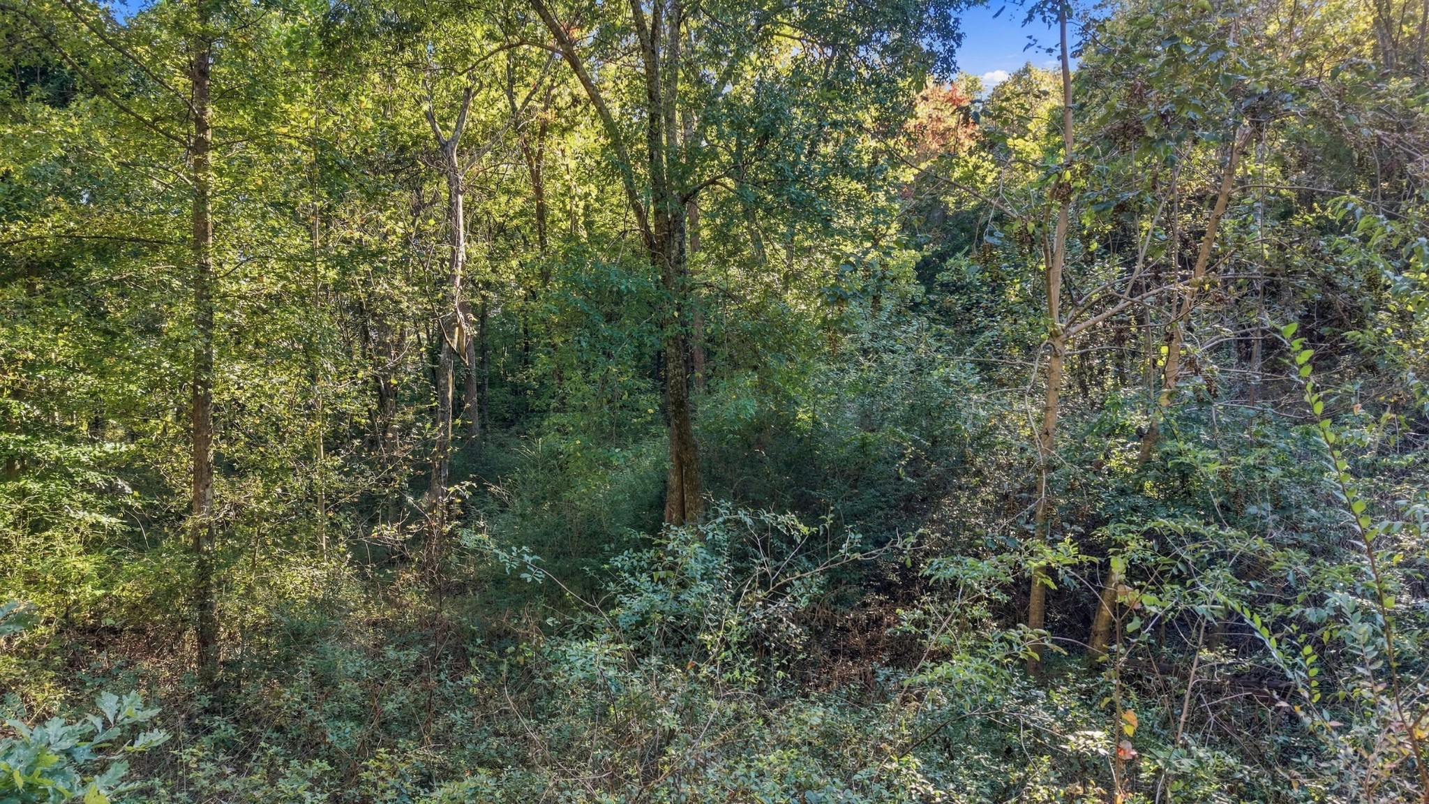 7364 Mccormack Drive