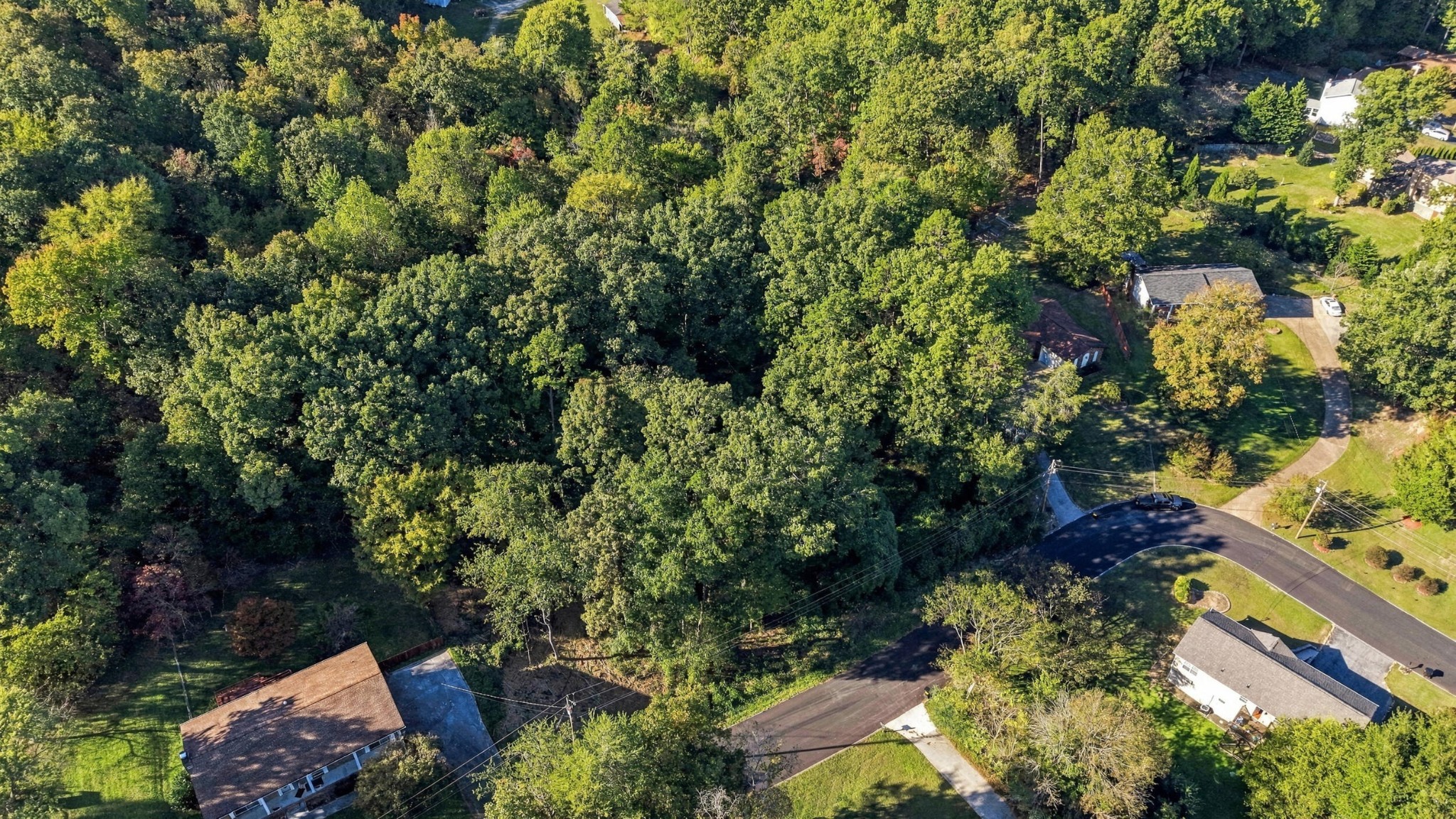 7364 Mccormack Drive