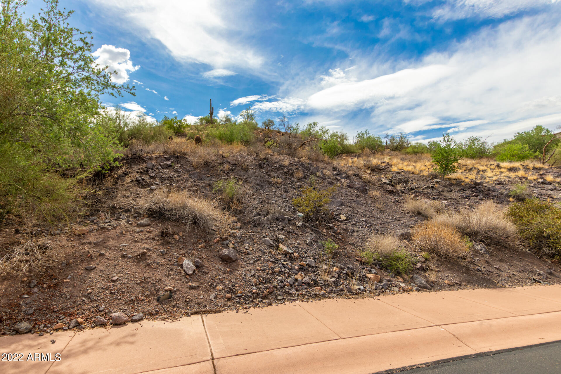 9130 N LAVA BLUFF Trail, 14, Fountain Hills Unit: 14