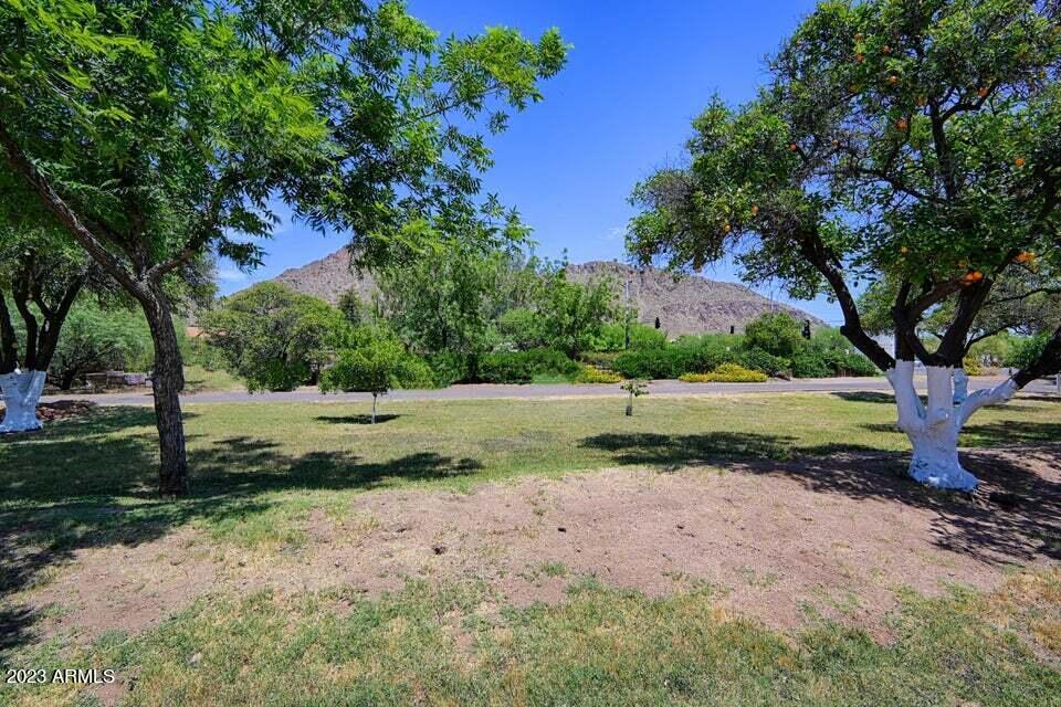 5539 E CAMELBACK Road
