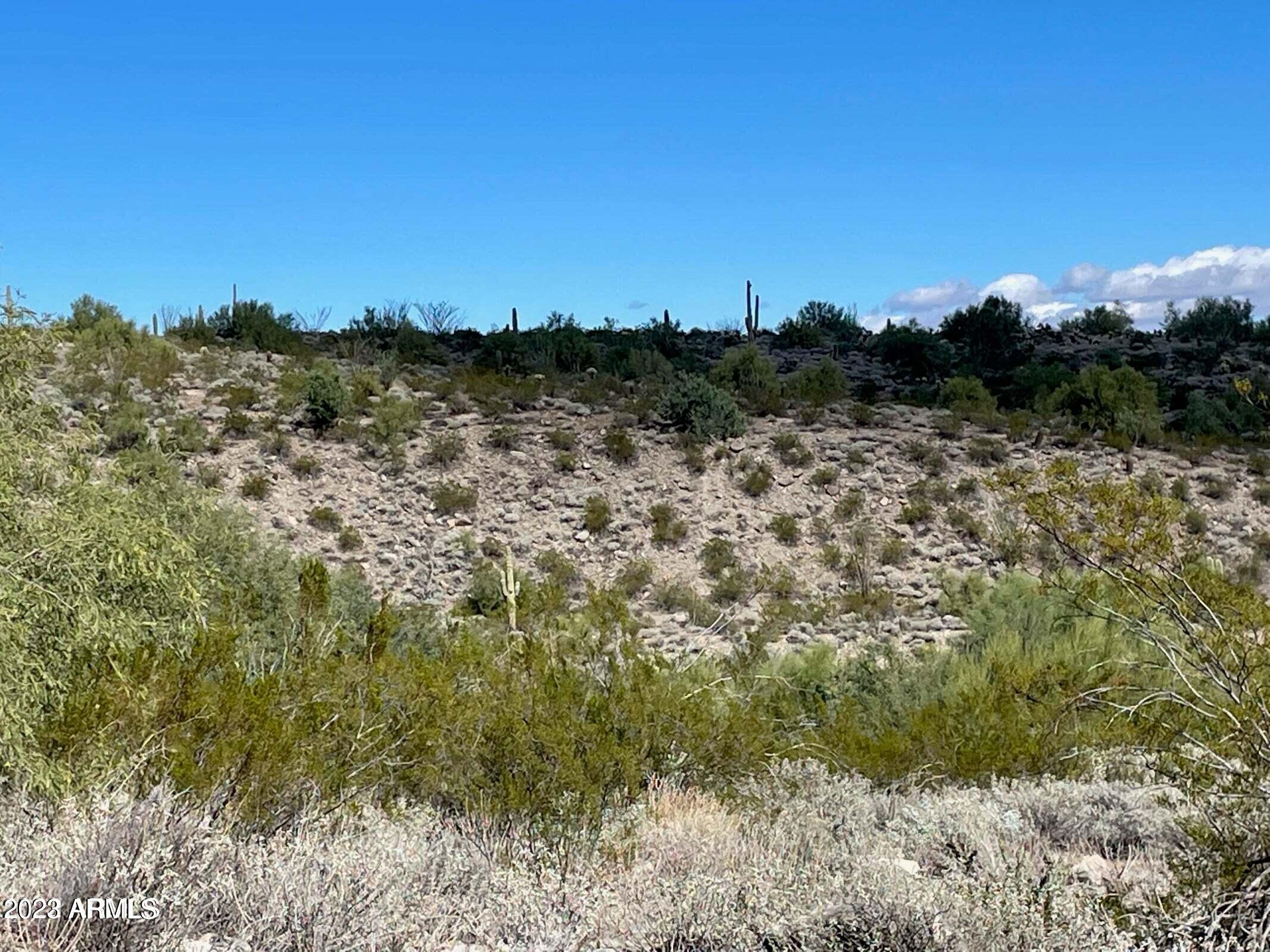 14154 E WHITE WING Court, 91