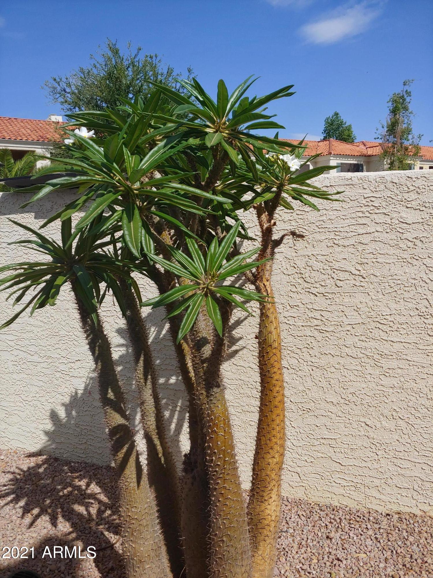 9990 N SCOTTSDALE Road, 3025