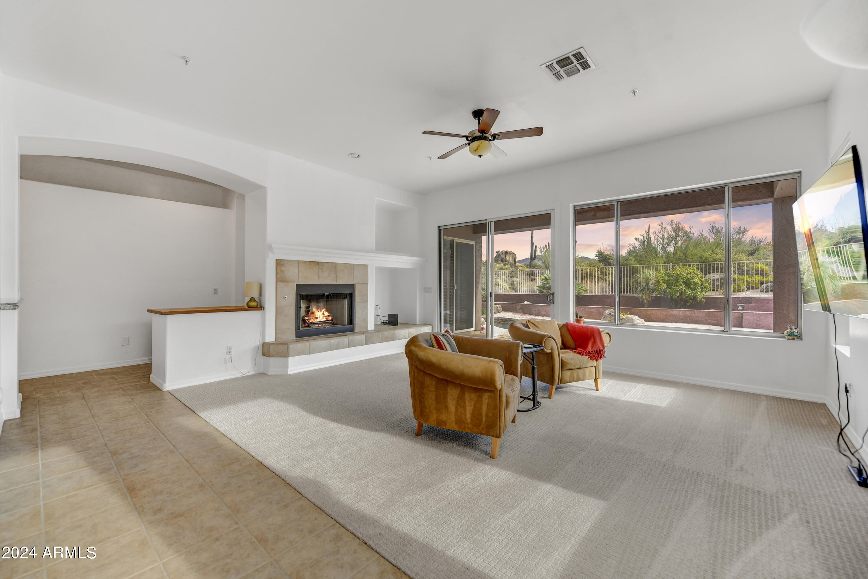 11451 E CHRISTMAS CHOLLA Drive