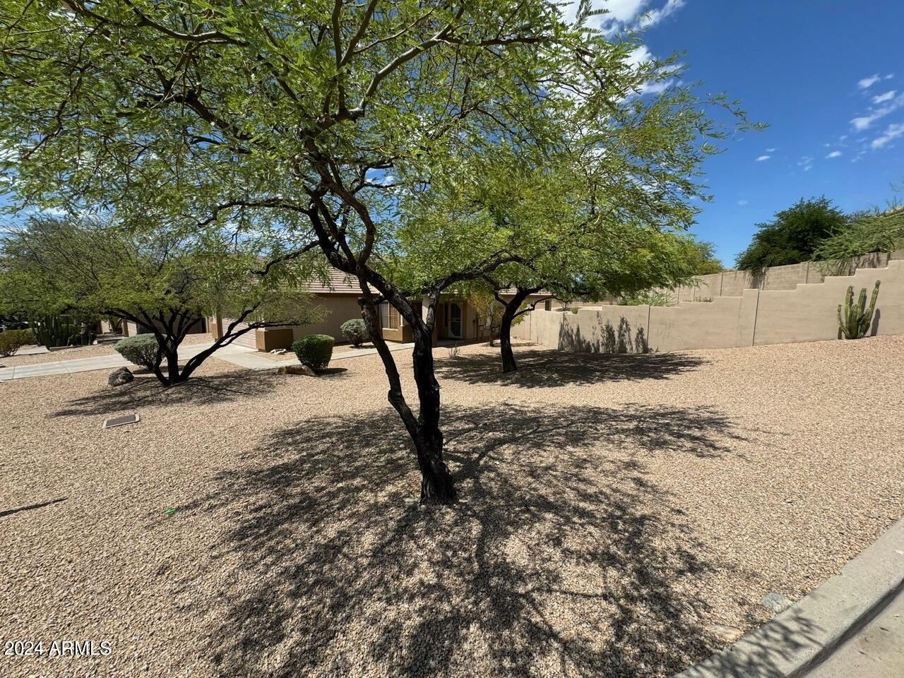 10460 E TEXAS SAGE Lane