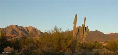 10460 E TEXAS SAGE Lane