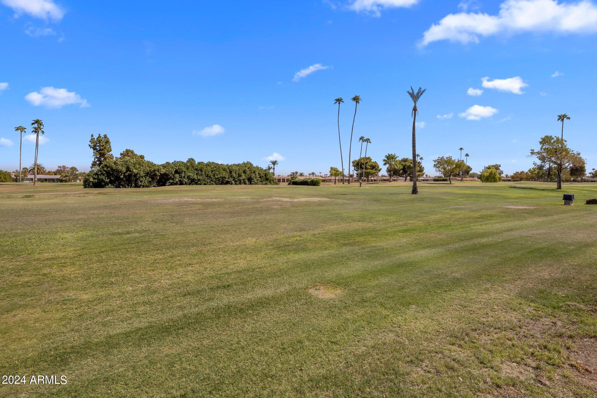 14837 N CAMEO Drive