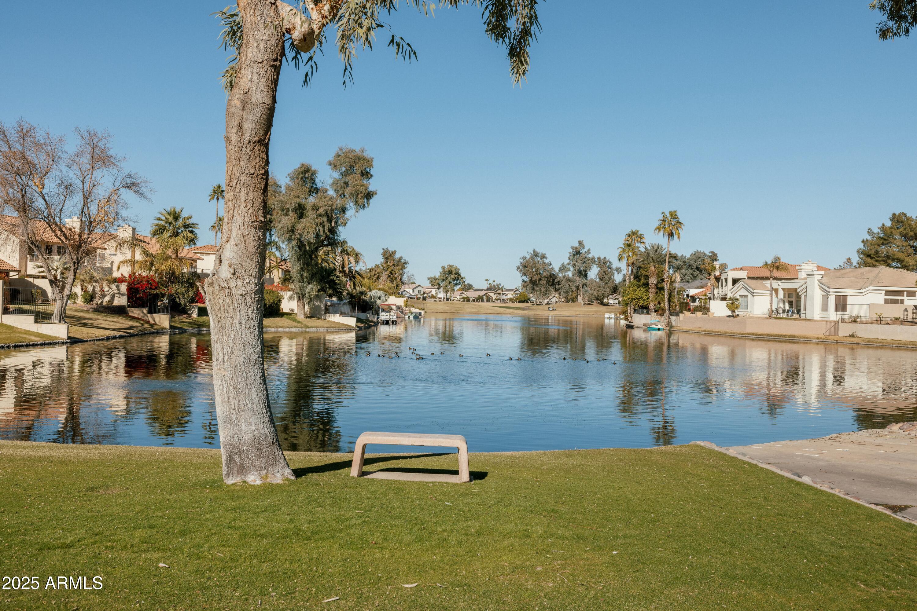 3950 S CACTUS WREN Drive