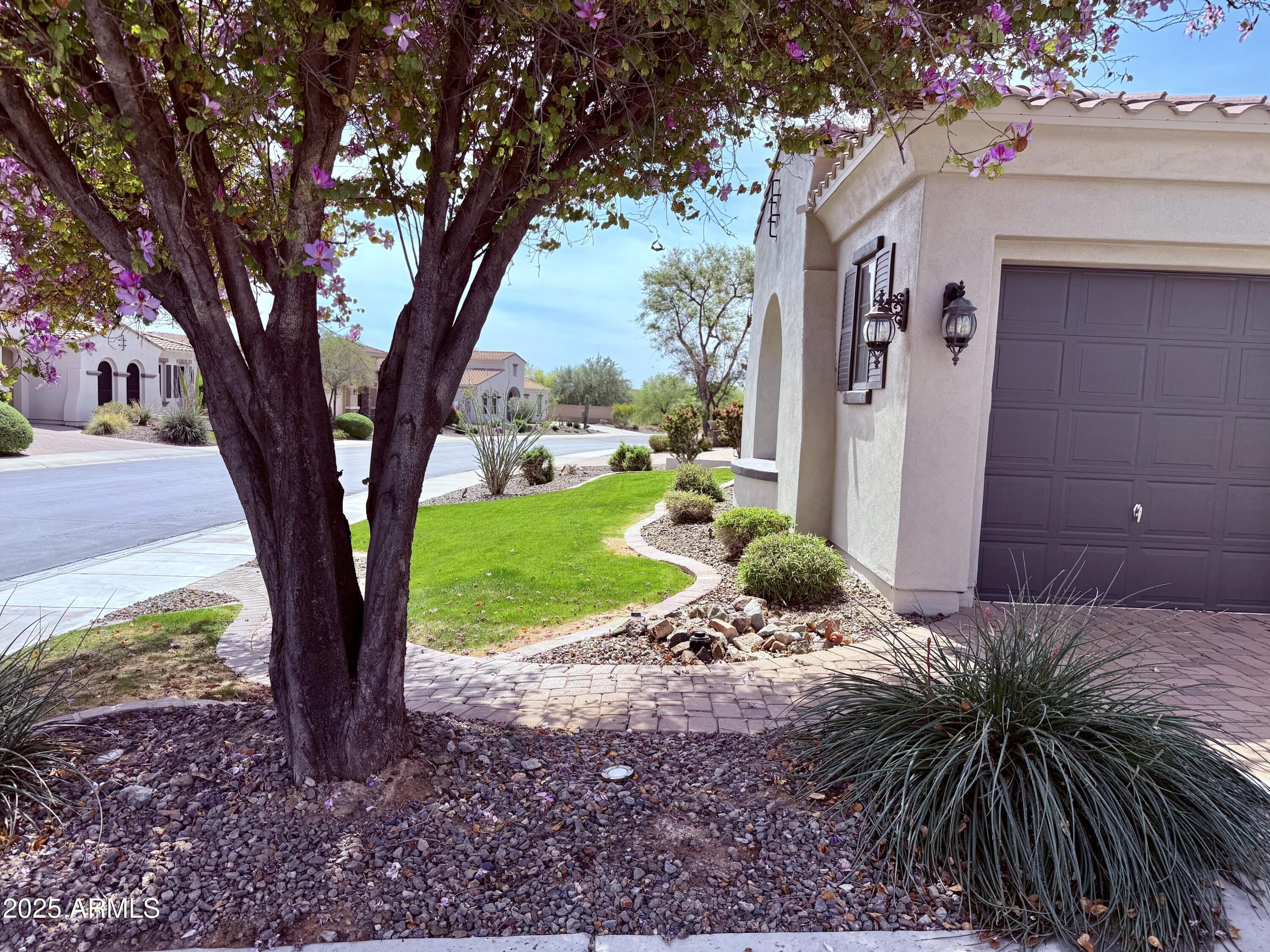 30488 N 126TH Drive