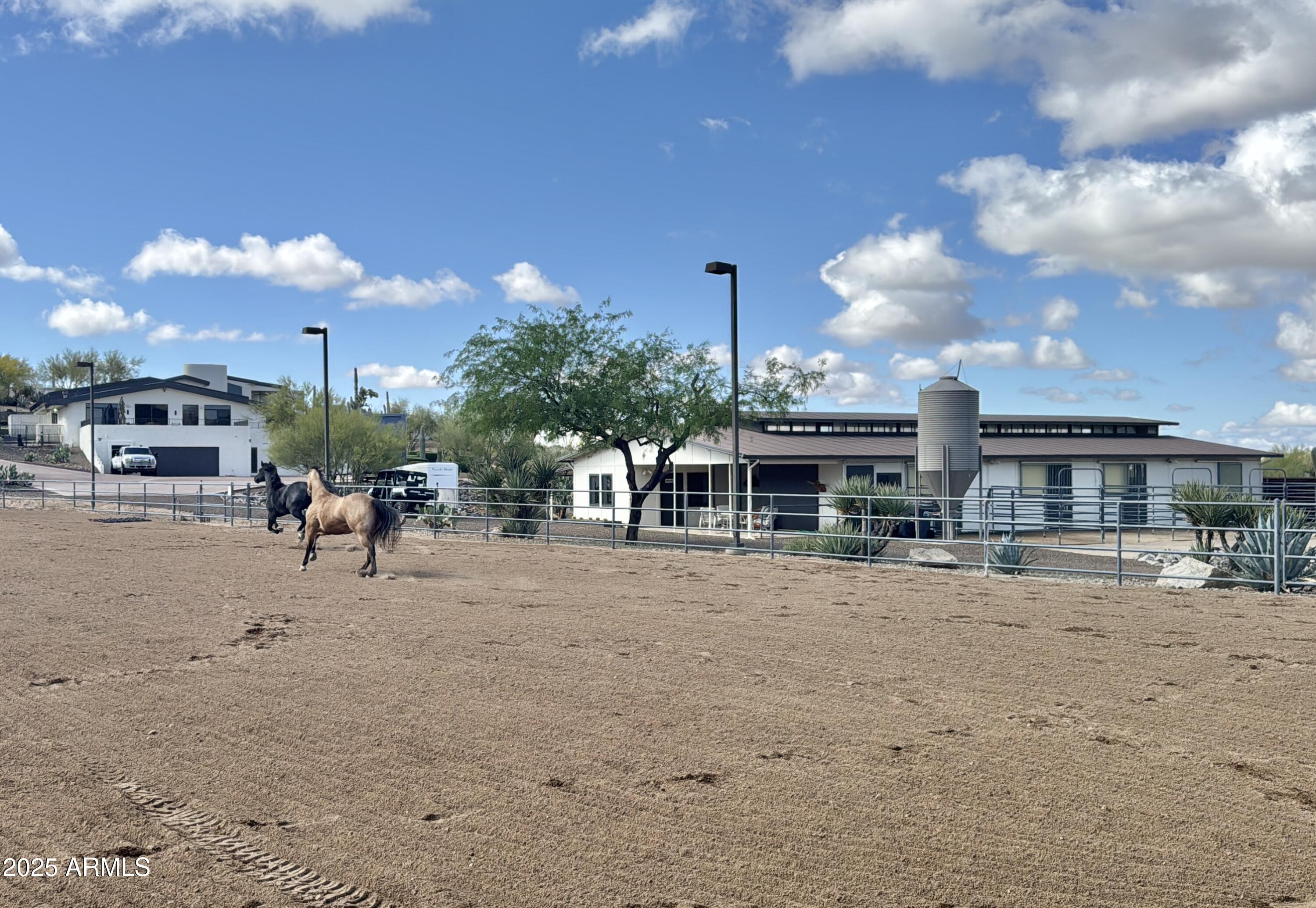 37801 N Stirrup Circle