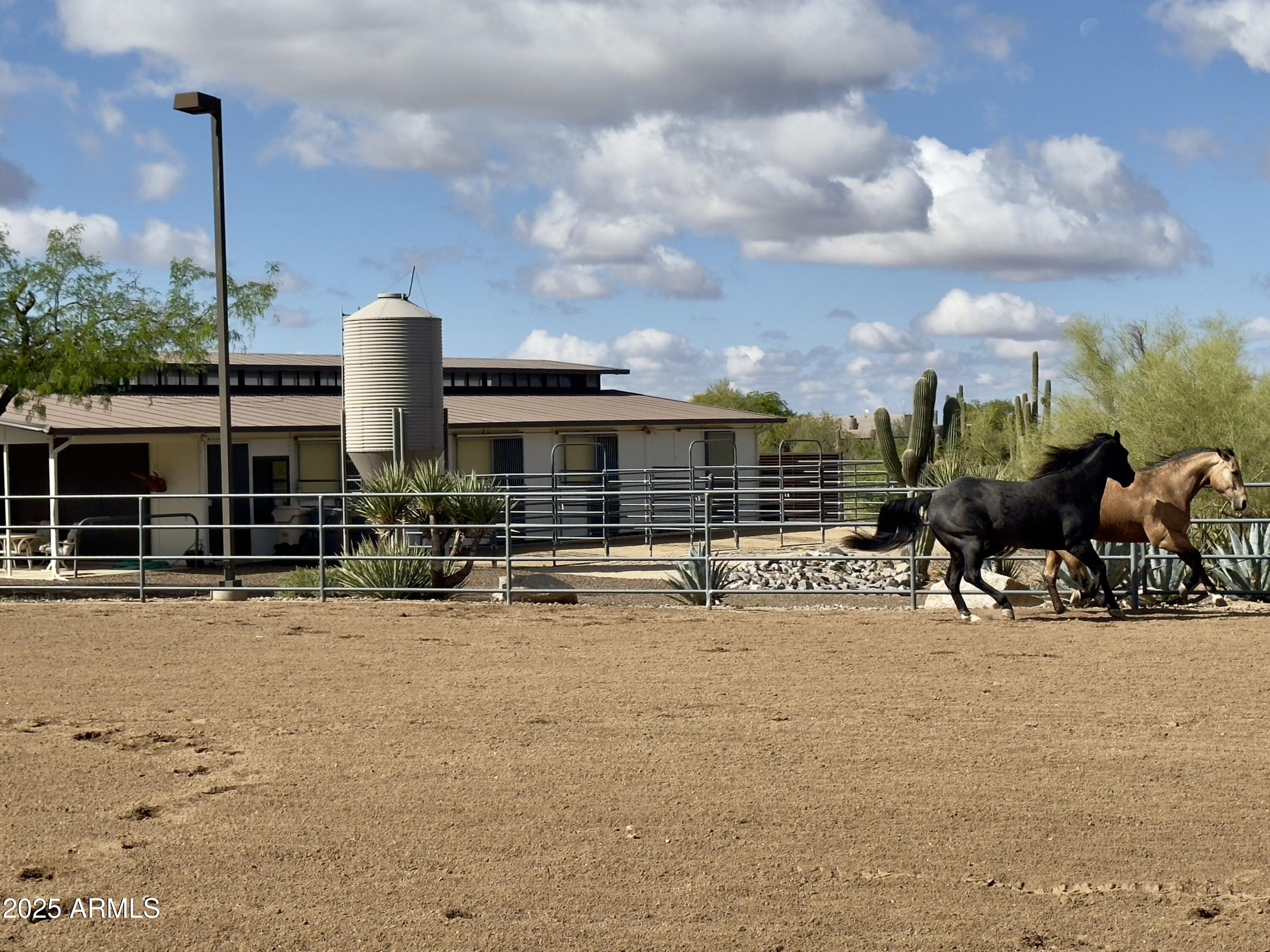 37801 N Stirrup Circle