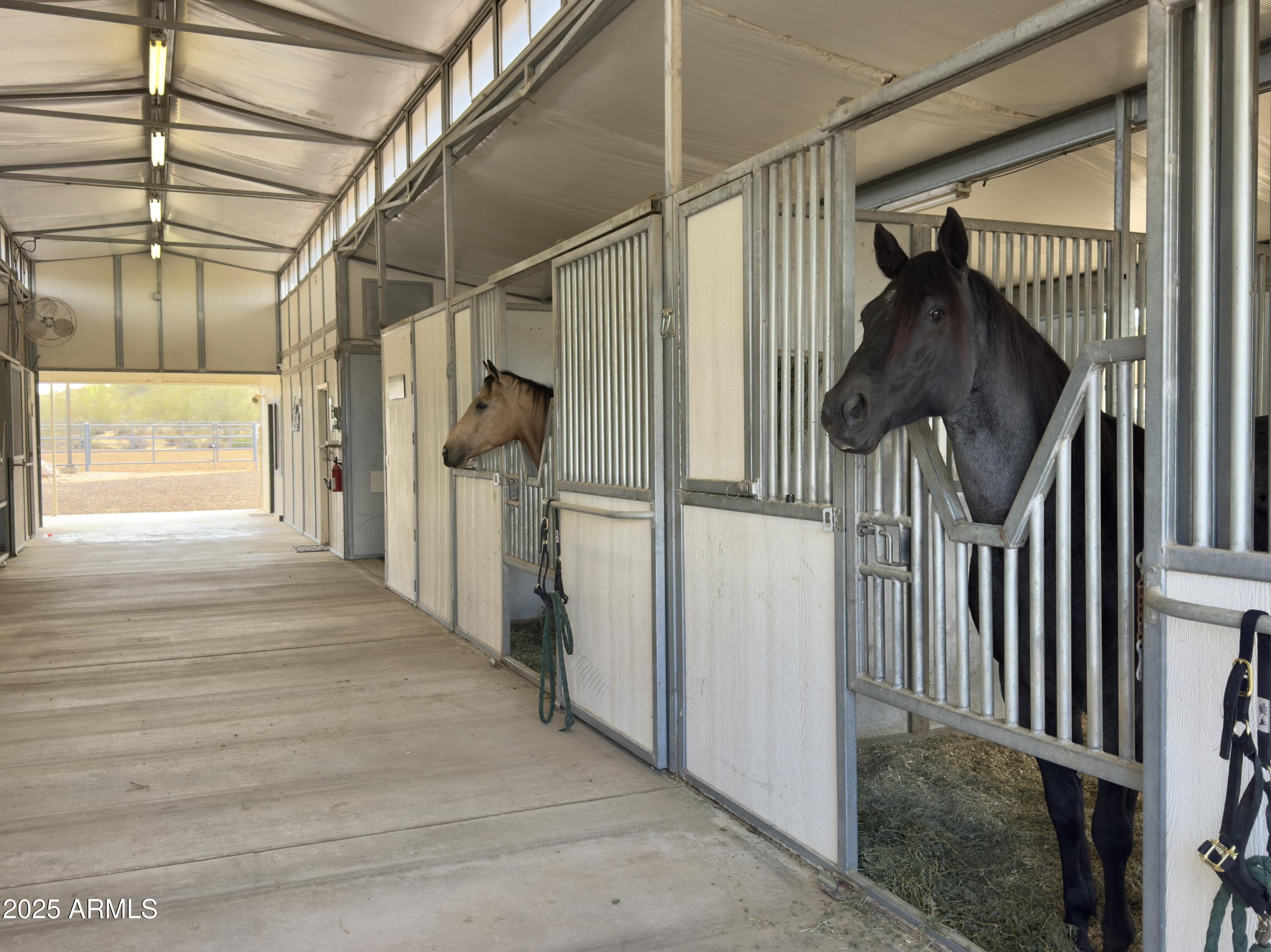 37801 N Stirrup Circle