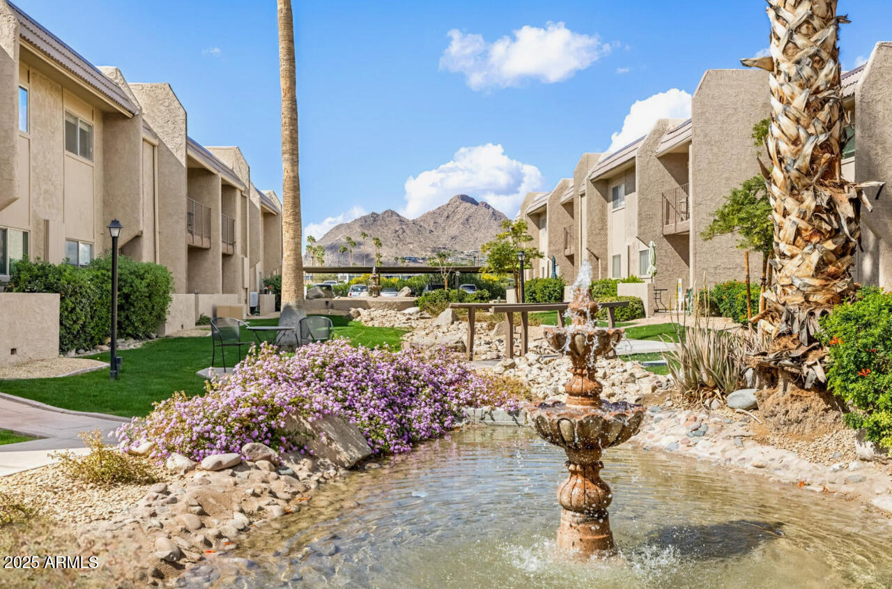 7436 E CHAPARRAL Road, 264B