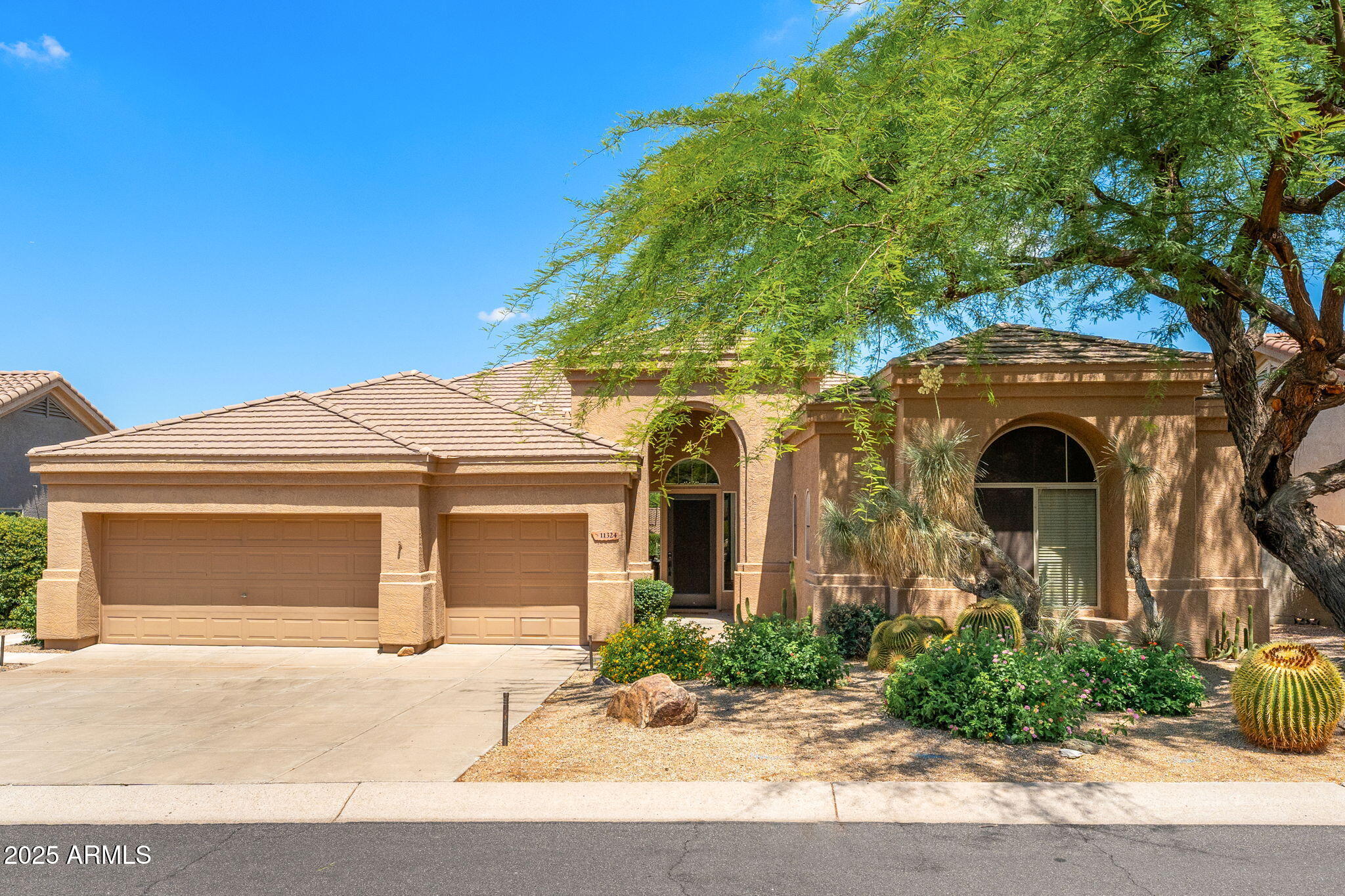 11324 E DIAMOND CHOLLA Drive