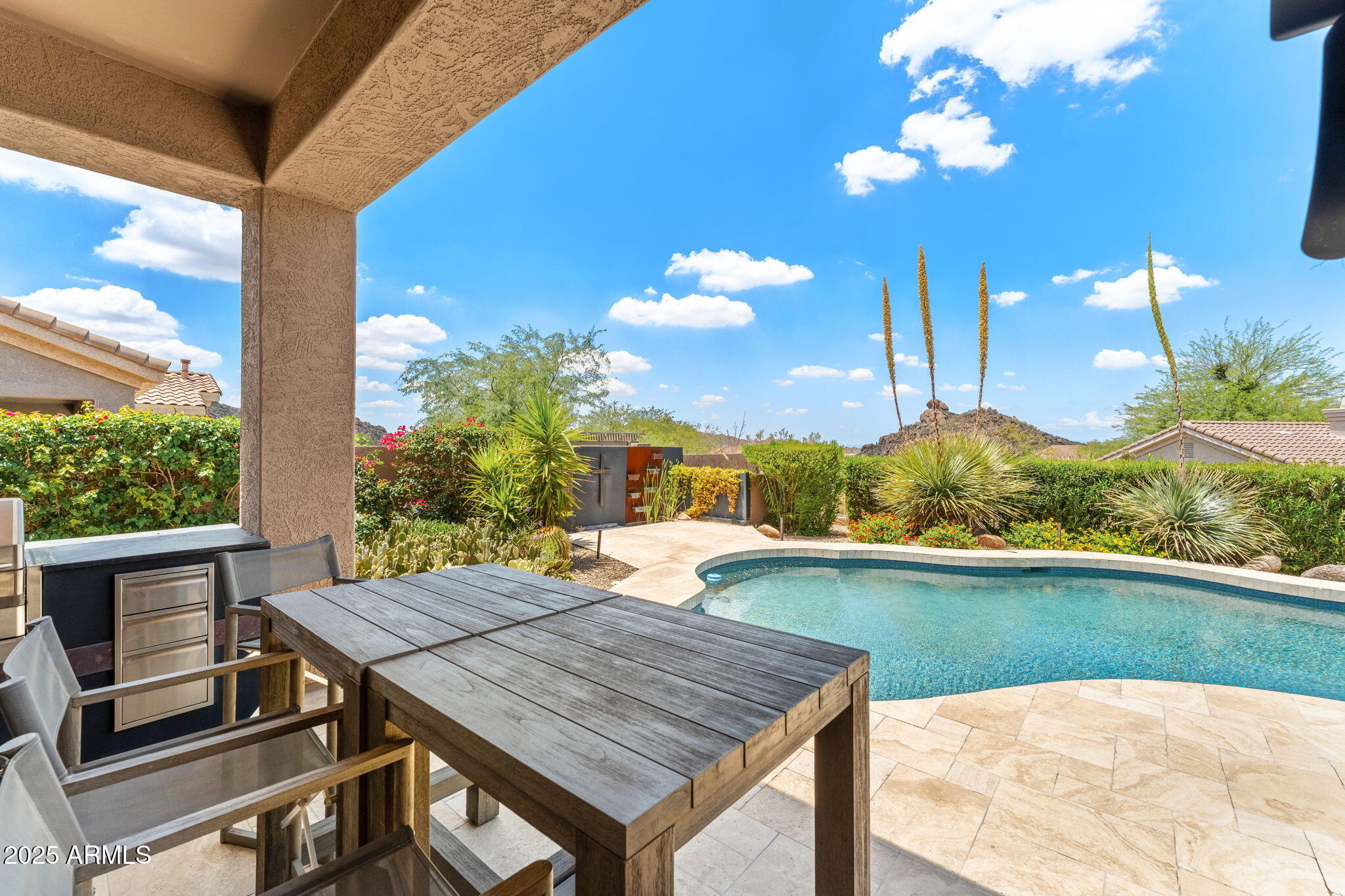 11324 E DIAMOND CHOLLA Drive