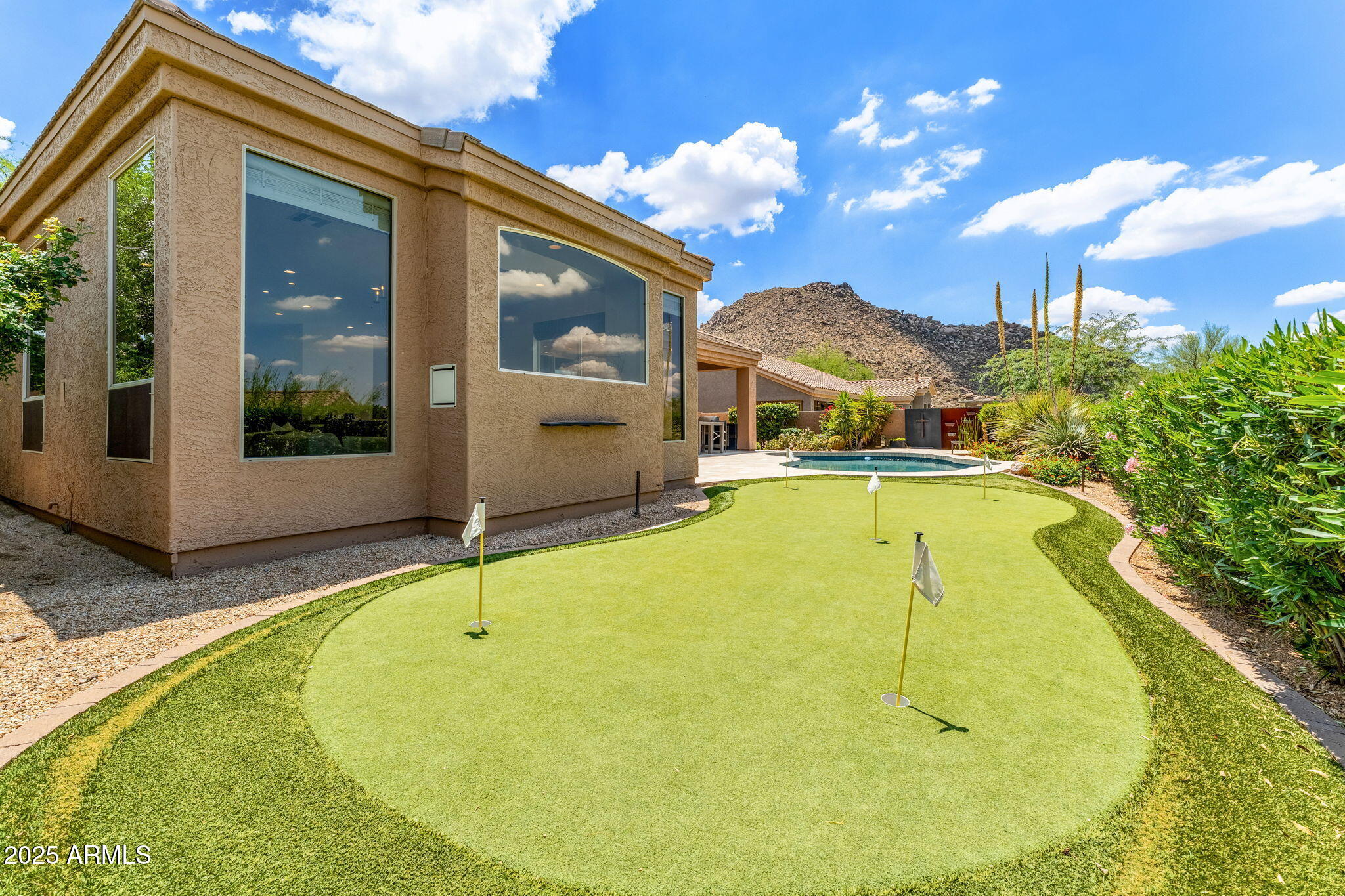11324 E DIAMOND CHOLLA Drive